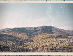 "Cuidemos nuestras raíces. El Monte es parte de lo que Somos", campaña contra los incendios en San Lorenzo de El Escorial